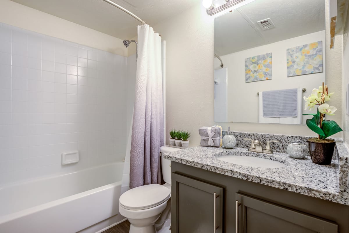 Photos and Video of Wildwood Apartments in Charlotte, NC